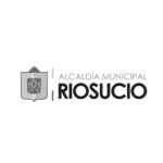LOGOS WEB CLIENTES NATIVA-19