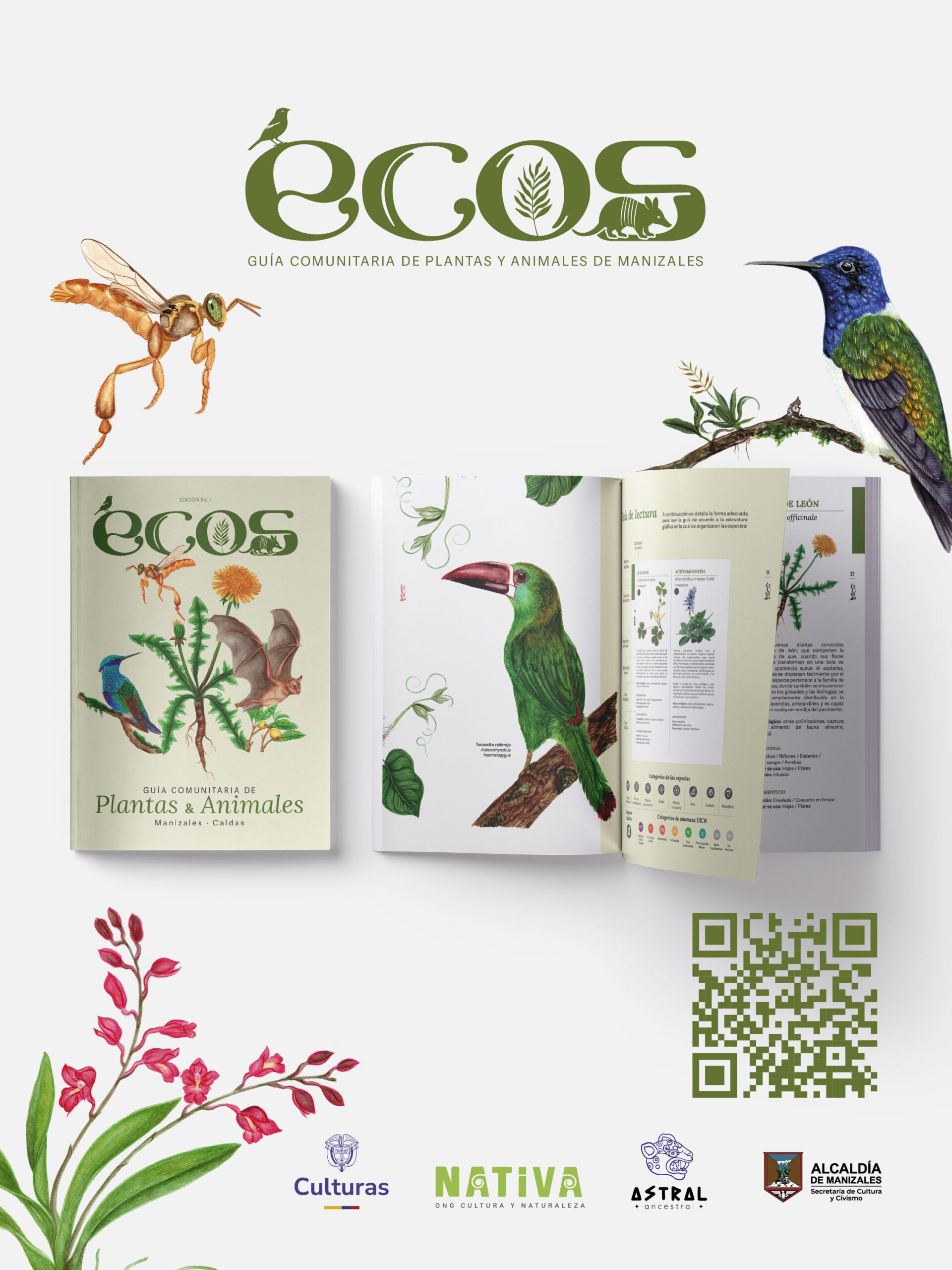 ECOS Guía de plantas