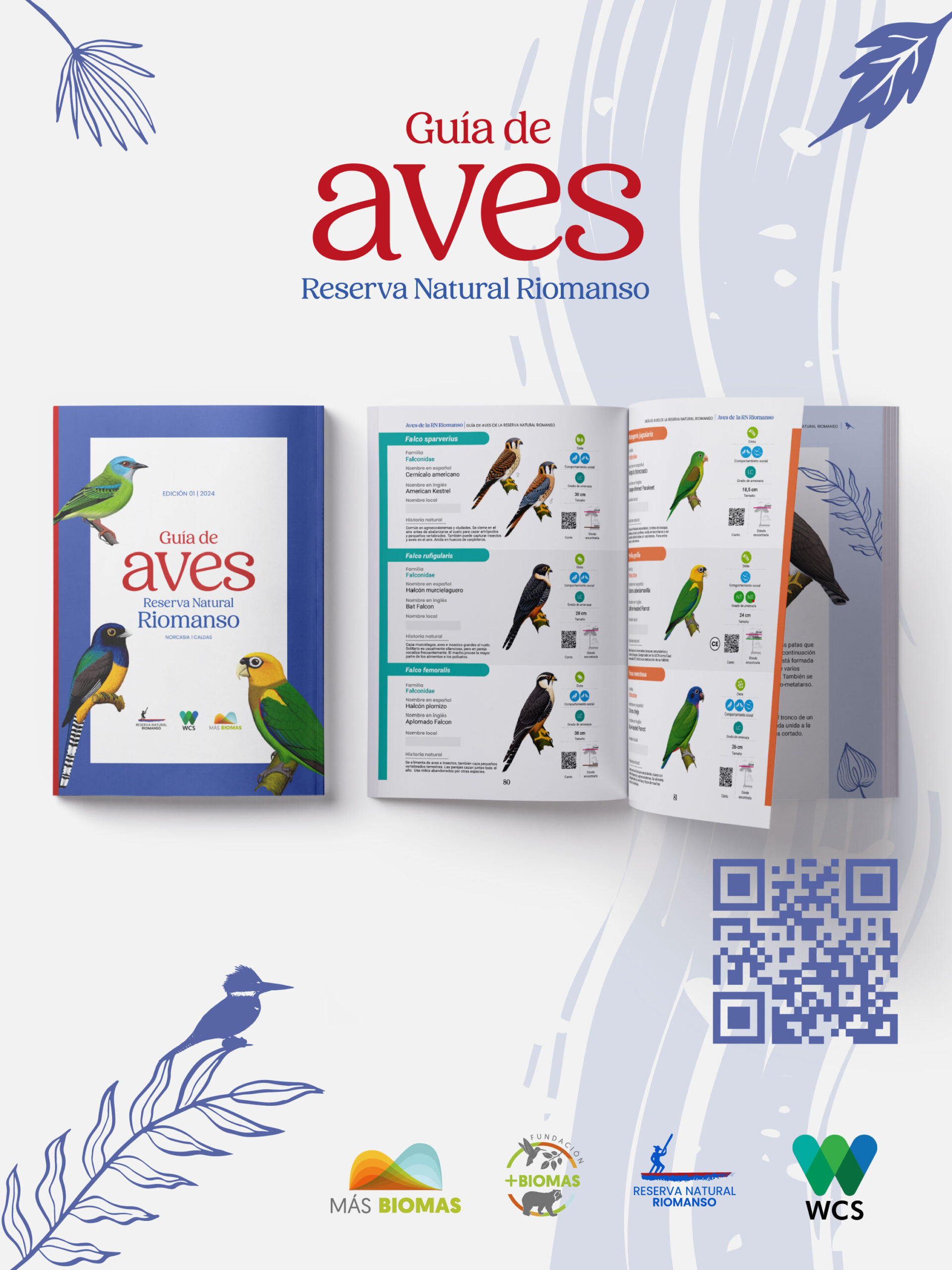 Guía de Aves Riomanso